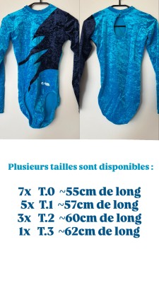 Ancien justaucorps de société Bleu